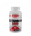 100% GLUTAMMINA (100cpr)