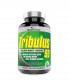 TRIBULUS 90 (100cpr)