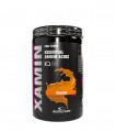 XAMIN (312g) ANDERSON