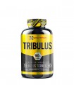 TRIBULUS (90cps) HX NUTRITION
