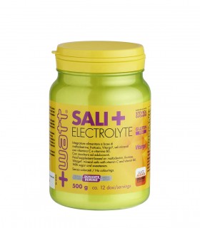 Sali+ Electrolyte (500g-600g) +WATT