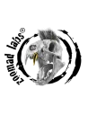 Zoomadlabs